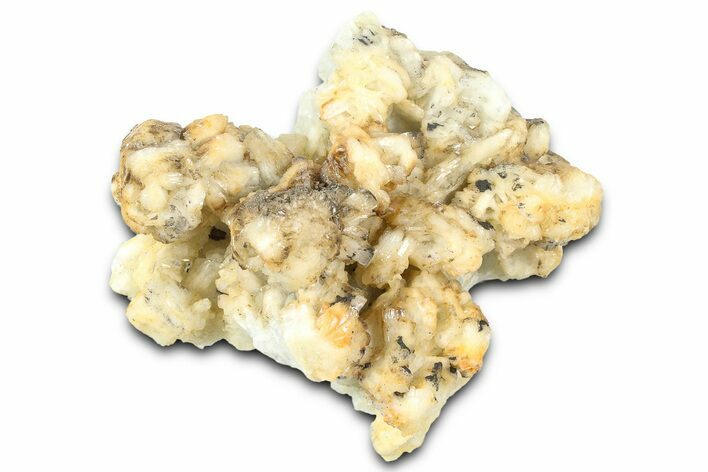 Sparkling Barite Crystal Cluster - Spain #361496